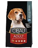 Cibau ����� 2.5 �"� ���� ��� ������ ������ ��� �����