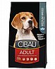 Cibau ����� 2.5 �