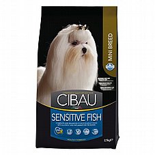 Cibau ����� 2.5  �"� ���� ��� ������ ������ ���� ��� ���� ���� (����)