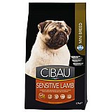 Cibau ����� 2.5 �"� ���� ��� ������ ������ ���� ��� ���� ��� (����)