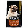 Cibau ����� 2.5 �