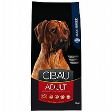 Cibau ����� 12 �"� ���� ��� ������ ������ ���� ���� (���� ����)