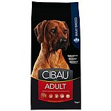 Cibau ����� 12 �"� ���� ��� ������ ������ ���� ���� (���� ����)