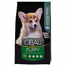 Cibau ����� 12 �"� ���� ��� ������ ����� ���� ������