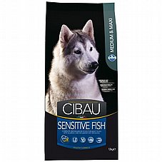 Cibau ����� 12 �"� ���� ��� ������ ������ ���� ���� (������)