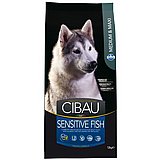 Cibau ����� 12 �"� ���� ��� ������ ������ ���� ���� (������)