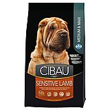 Cibau ����� ������� 12 �"� ���� ��� ������ ������ �� ����� ����� ��������, �� ���� ��� ����� (Sensitive)