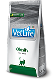 Vet Life �� ���� 5 �'� ���� ��� ������ ����� (��������)