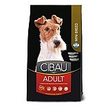 Cibau ����� 7 �"� ���� ��� ������ ������ ���� ��� ��� ����� (����)