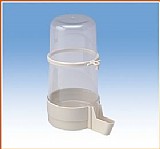 ��� ���� �����