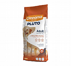 Pluto ����� 20 �"� ���� ��� ������ ������ ���� ���