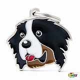 �� �� BERNESE-MF09