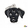 �� �� LABRADOR BLACK-MF31
