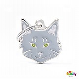 �� �� MAINE COON GREY-MF39