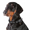 תג שם DOBERMANN-MF48