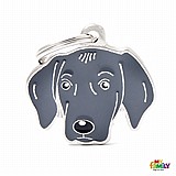 תג שם WEIMARANER-MF62 תג שם WEIMARANER-MF62
