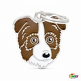 �� �� AUSTRALIAN SHEPHERD BROWN-MF75