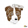 תג שם AUSTRALIAN SHEPHERD BROWN-MF75