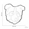 �� �� AUSTRALIAN SHEPHERD-MF75