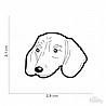 תג שם DACHSUND BROWN-MF19N