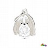 תג שם SHIH TZU GREY-MF16N
