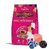 DoggyeBreak דוגיברייק 180 גרם חטיף ביסקוויט לכלבים בטעם חזיר ופירות יער