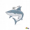 �� �� ����� ZO20-SHARK