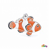 תג שם ווילד ZO22-CLOWNFISH תג שם ווילד ZO22-CLOWNFISH