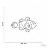 �� �� ����� ZO22-CLOWNFISH