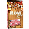 Now ��� 10 �