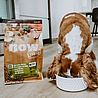 Now ��� 5.4 �