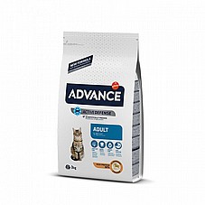 Advance ������ 3 �"� ���� ��� ������� ������ ���� ���