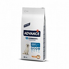 Advance ������ 14 �"� ���� ��� ������ ������ ���� ���� (����)
