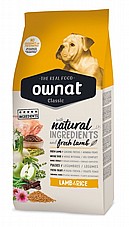 OWNAT ����� 12 �"� ���� ��� ������ ������ ������ ���� ��� �����