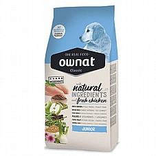 OWNAT ����� 4 �"� ���� ��� ������ ����� ������ 