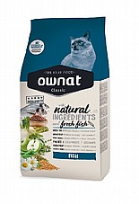 OWNAT ����� 4 �"� ���� ��� ������� ������ ������ ���� ���� 