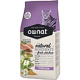 OWNAT ����� 4 �"� ���� ��� ������� ������ ������ (��������)