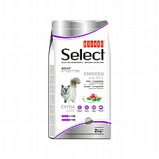Select Menu ���� ���� 2 �"� ���� ���  ������� ������ 