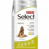 Select Menu  12 "       ( )