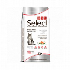 select menu ���� ���� 8 �"� ���� ��� ������ ����� �����/����� ���� ���� (������)