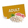 Nutribest נוטריבסט 15 ק