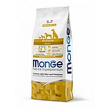 MONGE ���� 12 �"� ���� ��� ������ ������ ���� ��� ���� ����"�