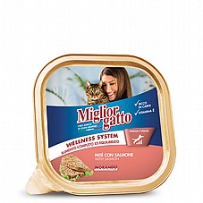 Miglior gatto �������� ���� 100 ��' ���� ���� (�������) ������� ������ ���� �����