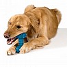 Petstages orka פטס סטייגס אורקה צעצוע לכלב עצם גדולה