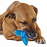 Petstages Orka Tumbler פטסטייגס אורקה טאמבלר קטן