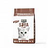 Kit Cat ��� �� 7 ���� ��� ����� ������� �� ���� ���� ������ ��� 