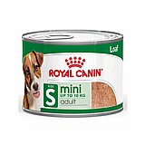 Royal Canin רויאל קנין 195 גרם מזון רטוב (שימור) לכלבים בוגרים מגזע קטן (מיני אדולט) Royal Canin רויאל קנין 195 גרם מזון רטוב (שימור) לכלבים בוגרים מגזע קטן (מיני אדולט)