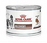 Royal Canin רויאל קנין 195 גרם מזון רפואי רטוב (שימורים) לכלבים בוגרים לשיקום תזונתי בשלבי החלמה ממחלה (ריקברי) Royal Canin רויאל קנין 195 גרם מזון רפואי רטוב (שימורים) לכלבים בוגרים לשיקום תזונתי בשלבי החלמה ממחלה (ריקברי)