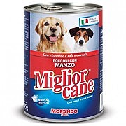 Miglior cane �������� ���� 405 ��' ���� ���� (�������) ������ ������ (���)