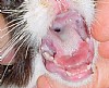  '